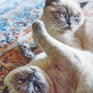 Romy & Leni
